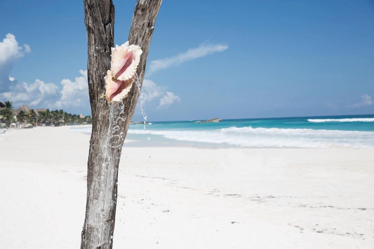Coco Tulum Beach Club Hotel 외부 사진